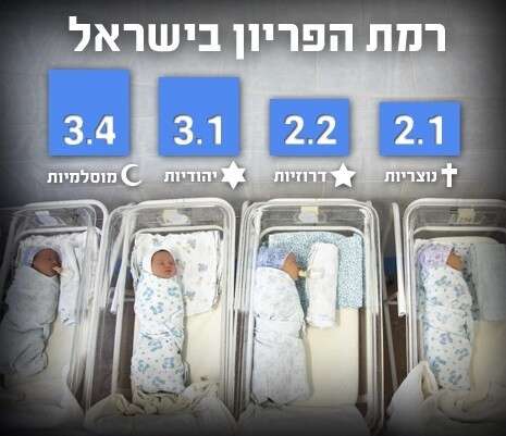 צילום: שאטרסטוק צילום: שאטרסטוק