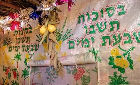 צילום: שאטרסטוק צילום: שאטרסטוק