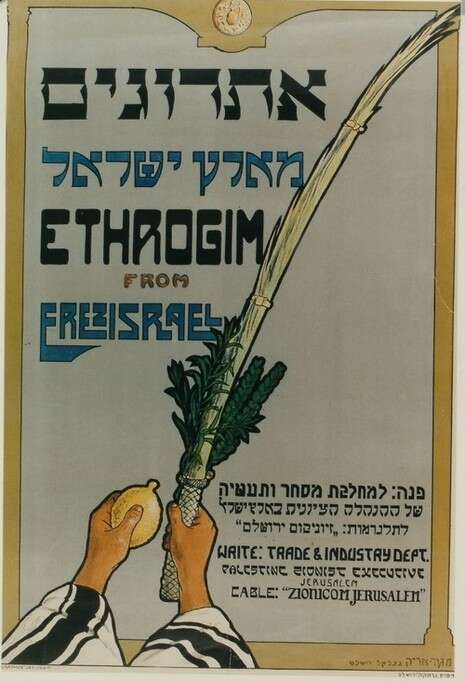 עיצוב: מאיר גור-אריה עיצוב: מאיר גור-אריה