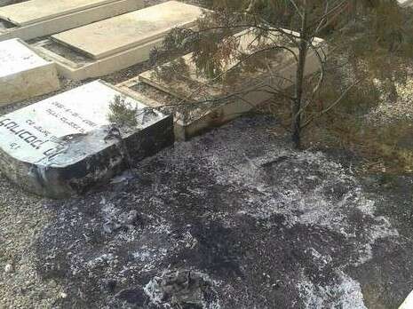 צילום: הדס פלג צילום: הדס פלג