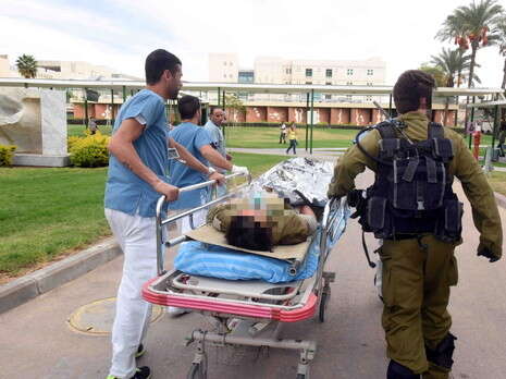 צילום: דודו גרינשפן צילום: דודו גרינשפן