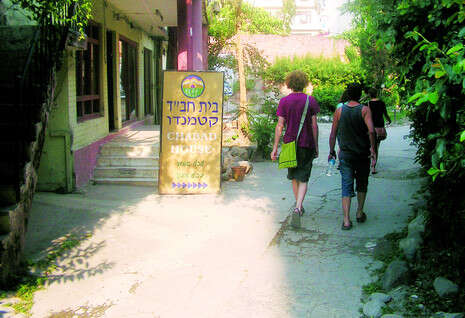 צילום: אריאל שנבל צילום: אריאל שנבל