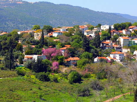 צילום: שאטרסטוק צילום: שאטרסטוק