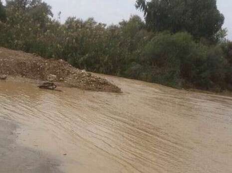 צילום: חטיבת דובר המשטרה צילום: חטיבת דובר המשטרה
