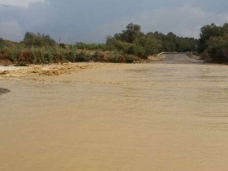 צילום: דודו גרינשפן צילום: דודו גרינשפן