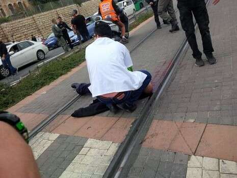 צילום: איחוד הצלה צילום: איחוד הצלה
