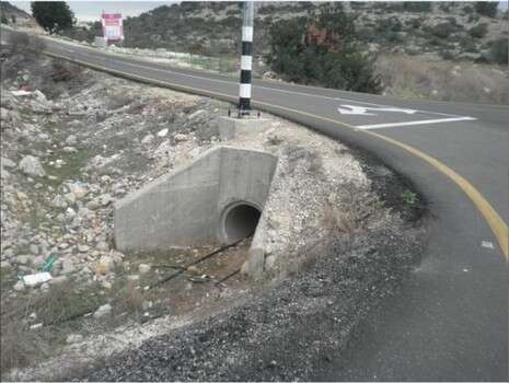 אור ירוק אור ירוק