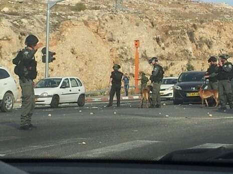 צילום: סוכנות תצפית צילום: סוכנות תצפית