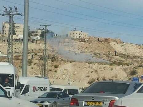 צילום: סוכנות תצפית צילום: סוכנות תצפית