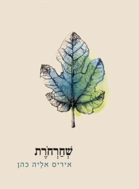 עטיפת הספר עטיפת הספר