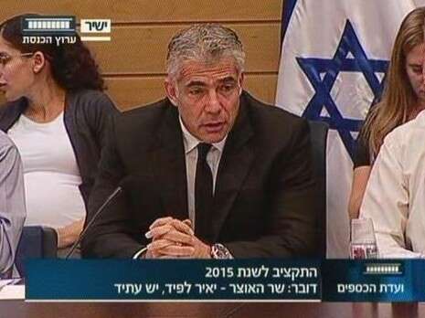 צילום מסך: מתוך ערוץ הכנסת צילום מסך: מתוך ערוץ הכנסת