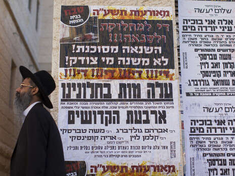 צילום: יונתן זינדל, פלאש 90 צילום: יונתן זינדל, פלאש 90