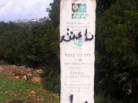 צילום: חטיבת דובר המשטרה צילום: חטיבת דובר המשטרה