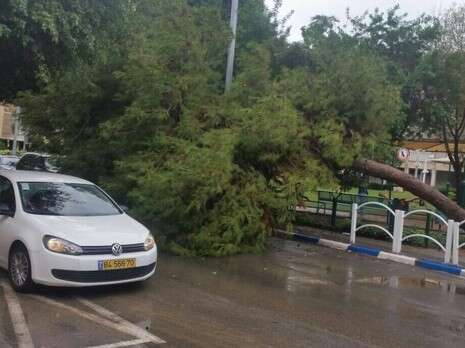 צילום: דוברות עיריית ראשון לציון צילום: דוברות עיריית ראשון לציון