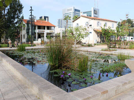 צילום: דני מרון צילום: דני מרון