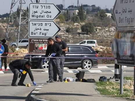 צילום: מרים צחי צילום: מרים צחי