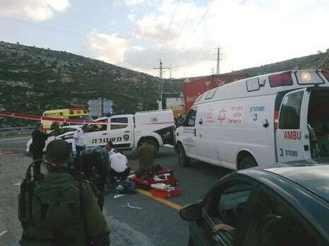 צילום: חטיבת דובר המשטרה צילום: חטיבת דובר המשטרה