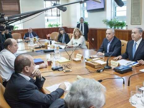 צילום: אמיל סלמן, פול הארץ צילום: אמיל סלמן, פול הארץ
