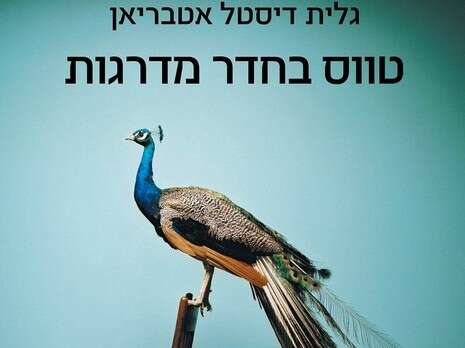 עטיפת הספר עטיפת הספר