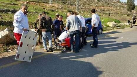 צילום: הצלה יו''ש צילום: הצלה יו''ש