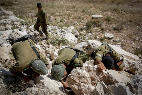 צילום: מרים אלסטר צילום: מרים אלסטר