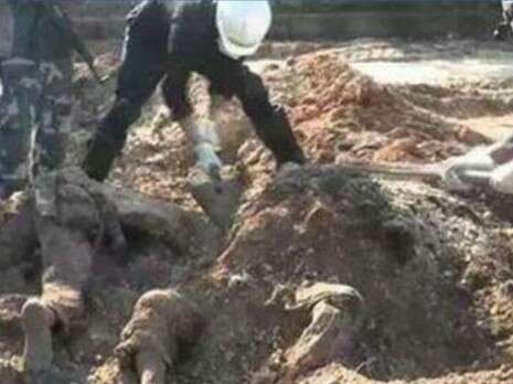 צילום: מתוך טוויטר צילום: מתוך טוויטר
