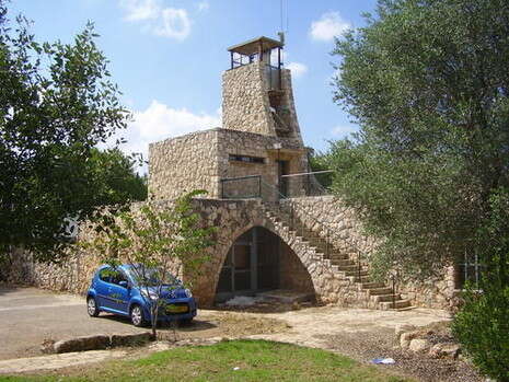 אבישי טייכר, פיקיוויקי אבישי טייכר, פיקיוויקי