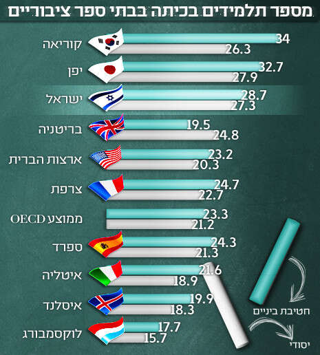 צילום: שאטרסטוק צילום: שאטרסטוק