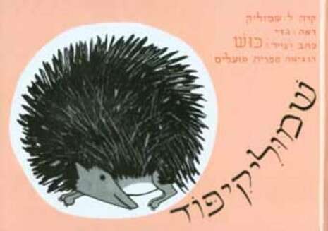 צילום כריכה צילום כריכה