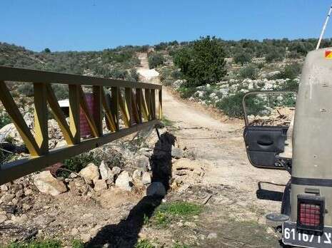 צילום: חופי עמוס צילום: חופי עמוס