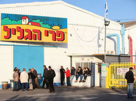 צילום: דרור ארצי, ג'יני צילום: דרור ארצי, ג'יני
