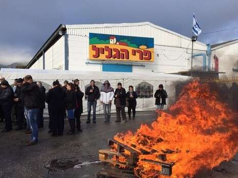 צילום: אנצו, ג'וש ג'יני צילום: אנצו, ג'וש ג'יני
