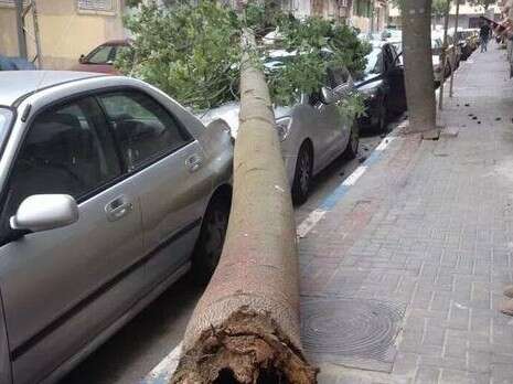 אור ירוק אור ירוק