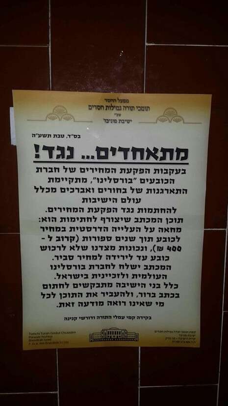 צילום: nrg צילום: nrg