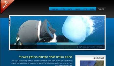 צילום מסך צילום מסך