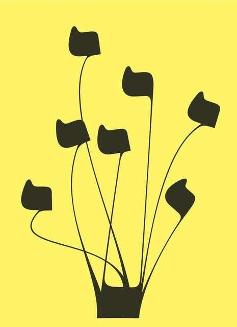צילום: יח''צ צילום: יח''צ