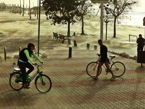 צילום: אמיר מאירי צילום: אמיר מאירי