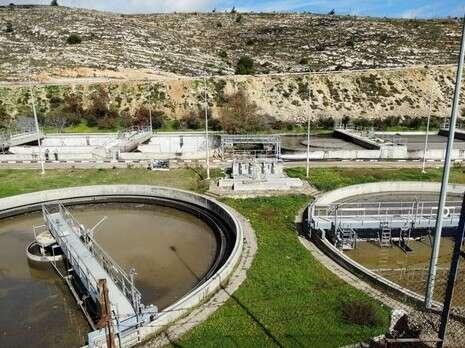 צילום: דב גרינבלט צילום: דב גרינבלט