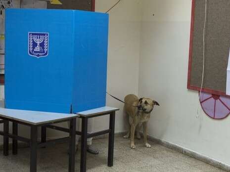 צילום: EPA צילום: EPA