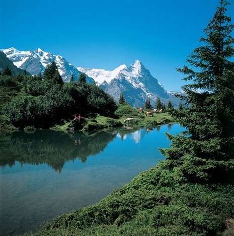 Swiss1 Swiss1