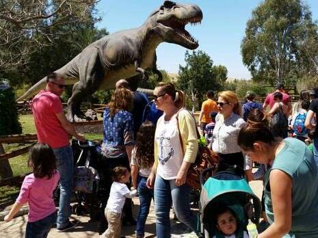 צילום: דודו גרינשפן צילום: דודו גרינשפן