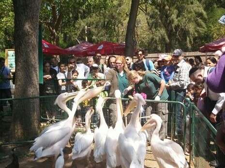 צילום: באדיבות ספארי צילום: באדיבות ספארי