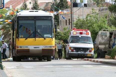 צילום: צילום מסך צילום: צילום מסך