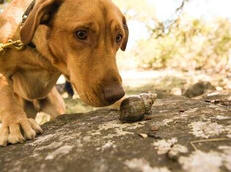 �����: ���.��