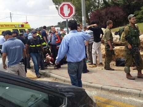 צילום: דוברות זק''א צילום: דוברות זק''א