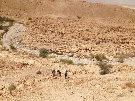 צילום: דוברות מד''א צילום: דוברות מד''א