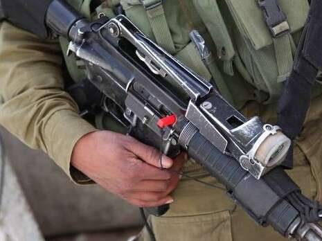 צילום: אופיר דוד צילום: אופיר דוד