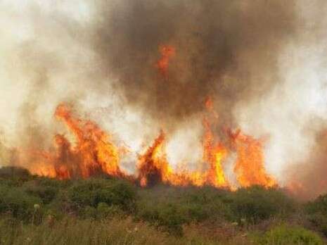 צילום: דוברות כבאות והצלה בית שמש צילום: דוברות כבאות והצלה בית שמש
