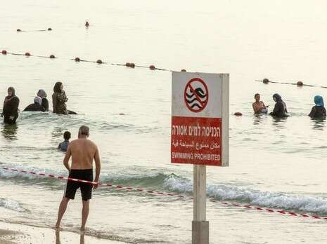 צילום: איי.אף.פי צילום: איי.אף.פי
