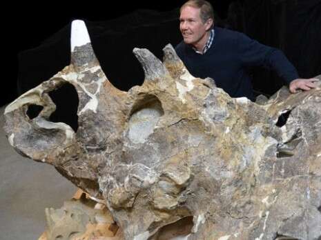 צילום: Sue Sabrowski באדיבות: Royal Tyrrell Museum צילום: Sue Sabrowski באדיבות: Royal Tyrrell Museum
